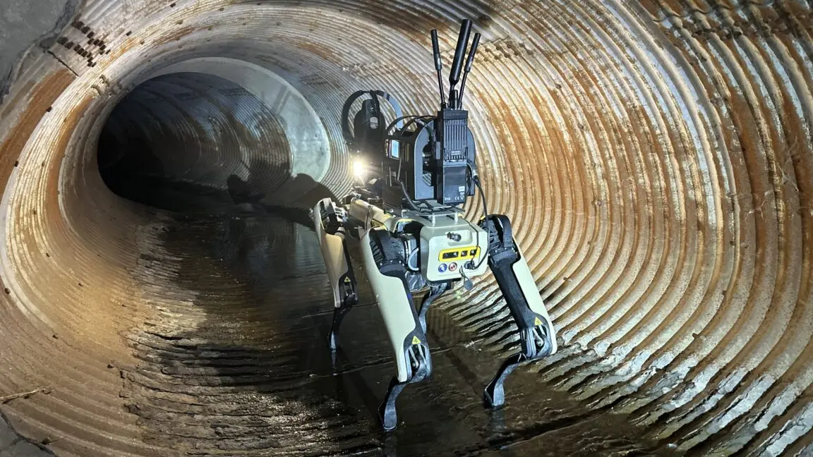Peste 300 angajați cer să se oprească vânzarea câinelor robot către ICE