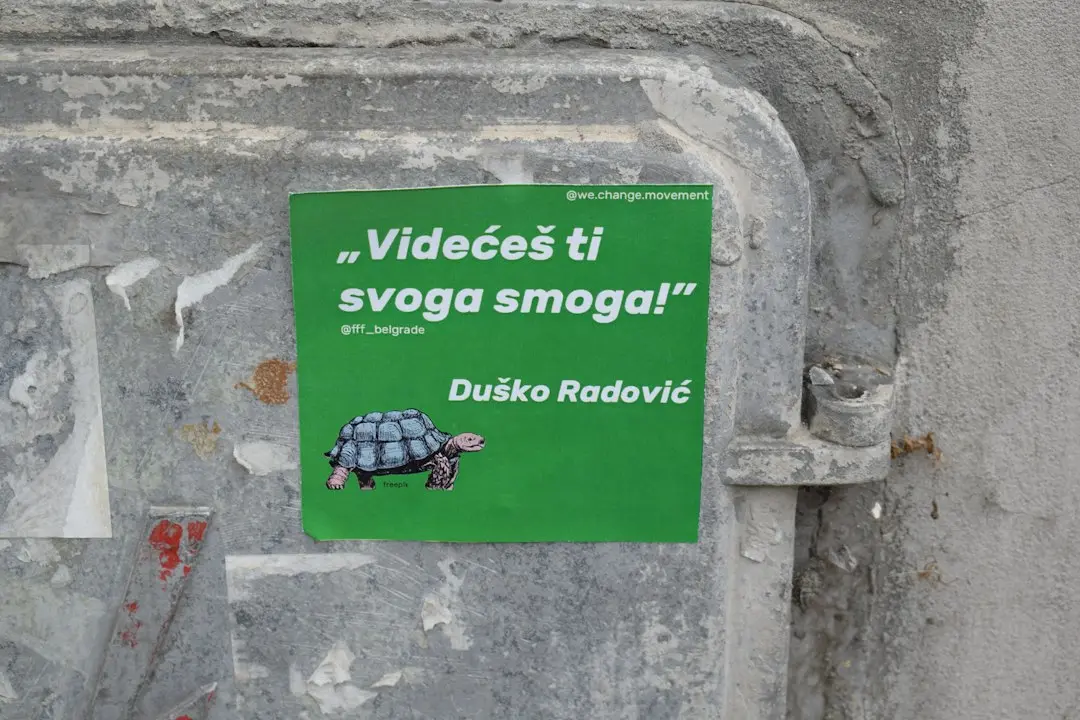 Duvo a strâns 32 de milioane de dolari pentru automatizarea afacerilor!