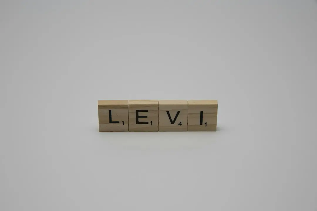 Max Levi, elev de liceu, a creat un RPG open-world complet funcțional