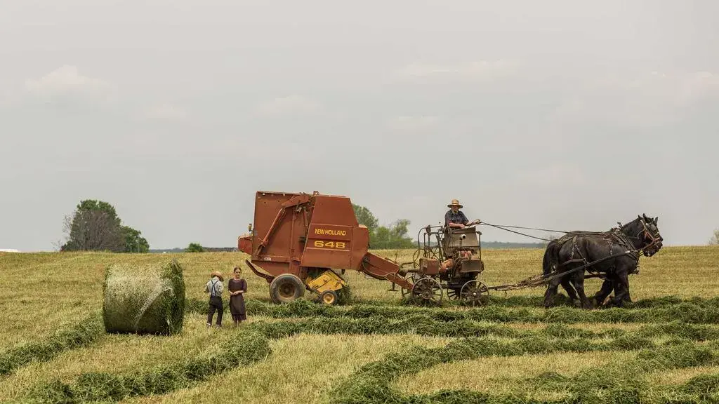 India descoperă activități ale agenților AI neautorizate
