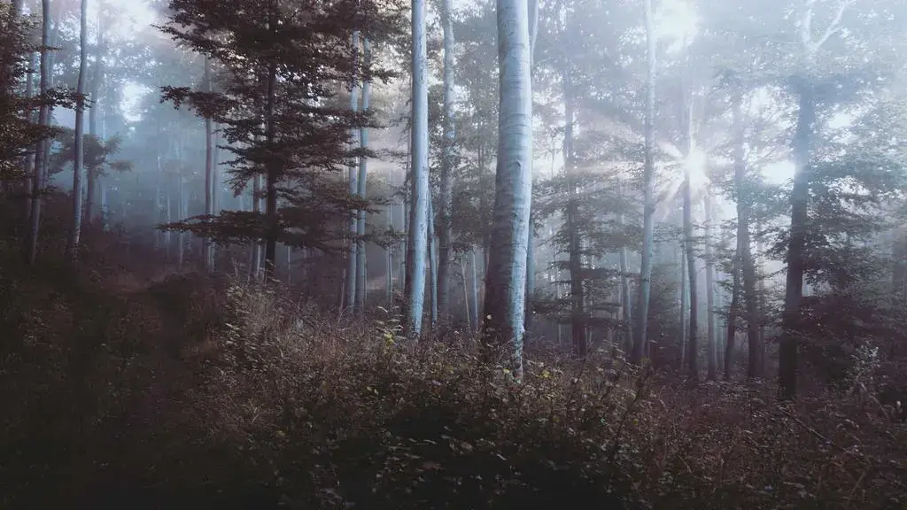 telefoanele viitorului trebuie să ruleze modele AI cu 100 de miliarde de parametri
